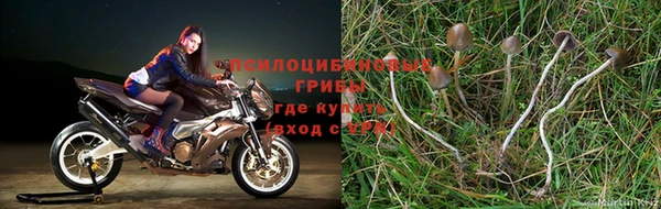 a pvp Абинск