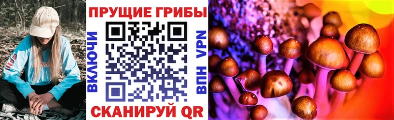 где продают наркотики  Вичуга  блэк спрут ссылки  Галлюциногенные грибы Psilocybe 