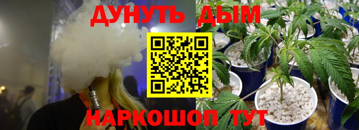 Бошки марихуана марихуана  Вход с VPN  Конопля план  Вичуга  Канабис сатива 